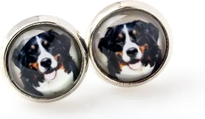 Produktbild von Berner Sennenhund, Dürrbächler, Bouvier bernois - deine Ohrringe handgefertigtes Foto, eigenes Foto, Schmuck der Marke Art.-Dog
