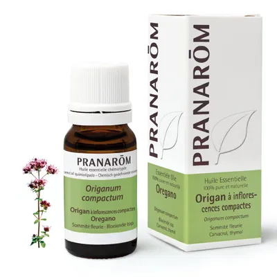 Produktbild von Pranarom Ätherisches Öl Oregano 10 ml