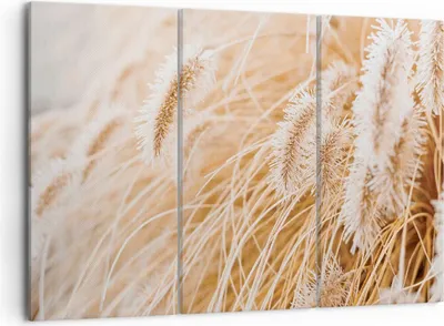 Produktbild von Bild auf Leinwand - Leinwandbild - 3 Teile - Gras Boho Licht - 105x70cm - Wand Bild - Wanddeko - Wandbilder - Leinwanddruck - Bilder - Wanddekoration - Leinwand bilder - Wandbild - CE105x70-4903