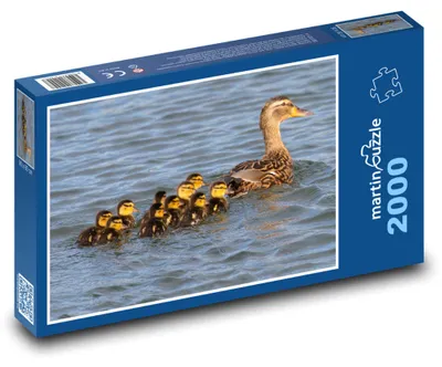 Obrázok produktu pre martinpuzzle – Puzzle 2000 – Kacka a kaciatka