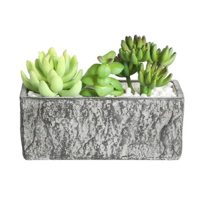 Obrázok produktu pre Umelá rastlina CHITOSE D: 17,8 cm Š: 7,5 cm V: 14,5 cm