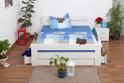 Produktbild von Buche Holzbett 160 x 200 cm Weiß