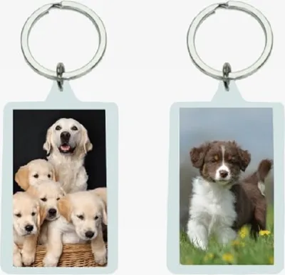 Produktbild von 3 D Schlüsselanhänger Hunde, Tiere Tier Schlüsselring Kindergeburtstag Mitbringsel Hund