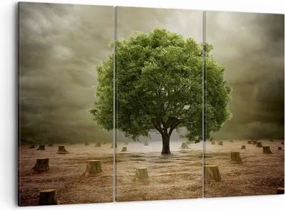 Produktbild von Bild auf Leinwand - Leinwandbild - Baum Feld Umwelt - 105x70cm - Wand Bild - Wanddeko - Wandbilder - Leinwanddruck - Bilder - Kunstdruck - Wanddekoration - Leinwand bilder - Wandkunst - CE105x70-2727