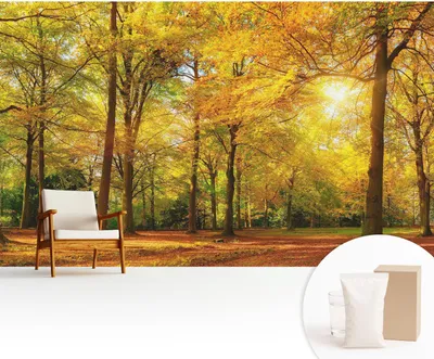 Obrázek produktu pro Samolepicí fototapeta – 416 x 254 cm – tapeta – nástěnná tapeta – nástěnné obrazy – samolepicí fólie – dekorativní fólie – tapetová fólie – stěna – dekorace – obývací pokoj – zlaté listy