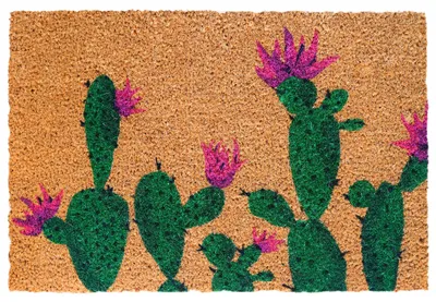 Produktbild von Relaxdays Fußmatte Kokos, Kaktus, 60x40 cm, rutschfest, wetterfest, Fußabstreifer innen & außen, Türvorleger, mehrfarbig
