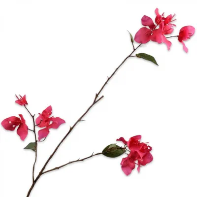 Produktbild von Silk-ka Seidenblume Bougainvillea Zweig Pink (93cm)