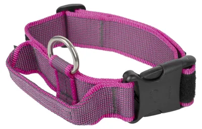 Immagine prodotto di Collare per cani Julius K9 40 mm 38-53 cm Rosa 100HA-K-PN-2015