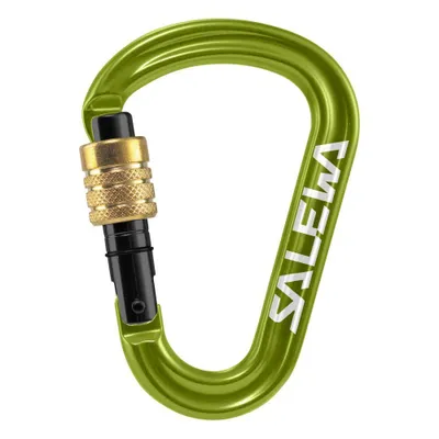Obrázek produktu pro Karabina Salewa 'HMS Pro'