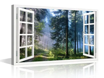 Leinwandbild 3D-Effekt Waldweg 45,7x30,5 cm Naturlandschaft