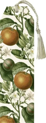 Image de Marque-page Orange