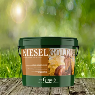 A bucket of horse feed is shown in a natural outdoor setting with grass and trees in the background.