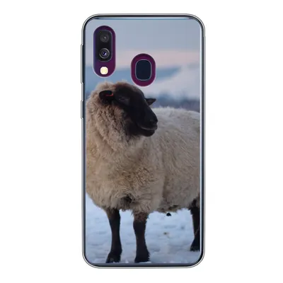 Produktbild von MuchoWow® Handyhülle Schutzhülle Hülle für Samsung Galaxy A40 Schaf - Schnee - Berg Silikon Softcase Handy Hülle - Handy-Tasche