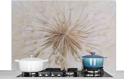 Obrázek produktu pro KitchenYeah® Splashback kitchen - Kuchyňský splashback - Ochrana stěny sporáku a dřezu - Květiny - Pampeliška - Design 120x80 - Alu-Dibond (alternativa ke skleněnému splashbacku) - Tepelně odolný - Splashback na sporák - Kuchyňský splashback