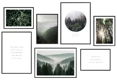 Produktbild von Hyggelig Home Premium Poster Set - 7 passende Bilder OHNE RAHMEN im stilvollen Set  - 3 x DIN A3 + 4 x DIN A4 - Set Forest