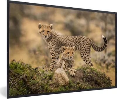 Produktbild von MuchoWow® MuchoWow® Gerahmtes Poster Leopard - Jungtier - Natur 30x20 cm - Poster mit zchwarzem Bilderrahmen - Kunstdruck - Bild-Poster