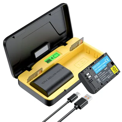 Immagine prodotto di Kit di ricarica a batteria doppia da 20W (2 batterie da 3000mAh) per fotocamere