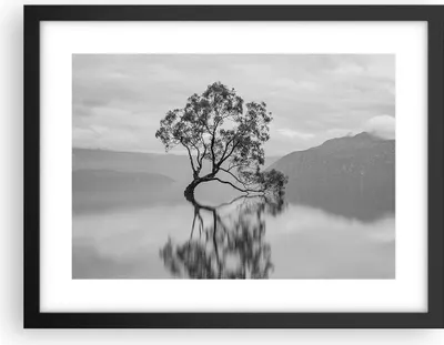Produktbild von Gerahmtes Poster - Schwarzer Rahmen - Baum Symmetrie See - 40x30 cm - Wand Bild - Wanddeko - Wandbilder - Kunstposter - Wandposter - Bilderrahmen - Bilder - Kunstdruck - P2BAA40x30-4514
