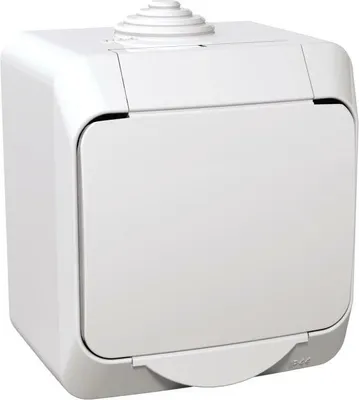 Immagine prodotto di Zásuvka Schneider Electric WDE000540 Cedar plus 2P+PE bílá