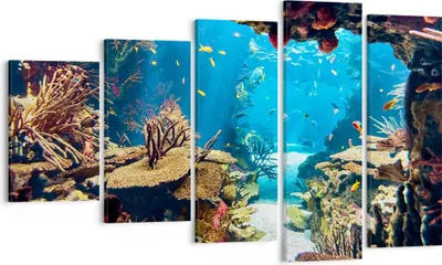Produktbild von Bild auf Leinwand - Leinwandbild - Ozean Riff Fische Koralle - 100x60cm - Wand Bild - Wanddeko - Leinwanddruck - Bilder - Kunstdruck - Wanddekoration - Leinwand bilder - Wandkunst - EG100x60-2872