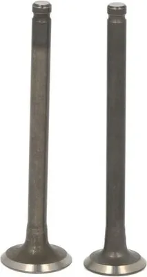 Produktbild von INPARTS IP000440 Auslassventil