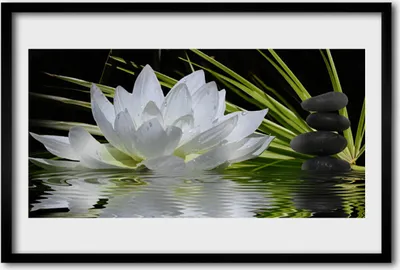 Produktbild von Bild 60x40 MDF-Rahmen Wandkunst Wasser-Lilien-Blumen