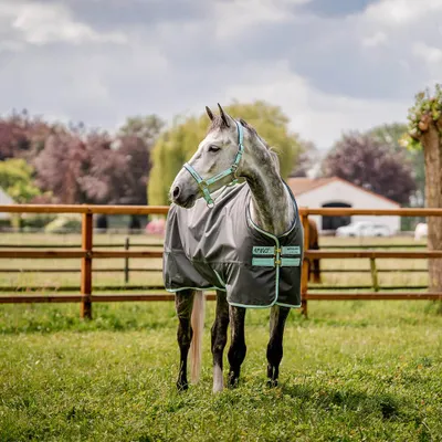Produktbild von Horseware FieldSafe Headcollar, Größe:Vollblut, Farbe:Blue Haze