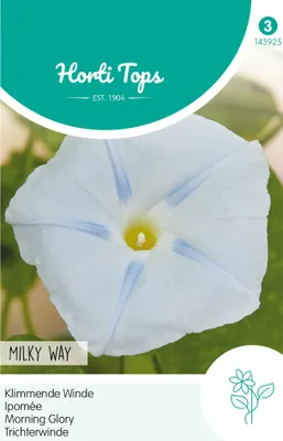 Produktbild von Trichterwinde Milky Way | Blumensamen von Hortitops [MHD 07/2026]