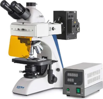 Produktbild von KERN & SOHN Fluoreszenzmikroskop, Halogen, 530 mm, 220 mm, 490 mm