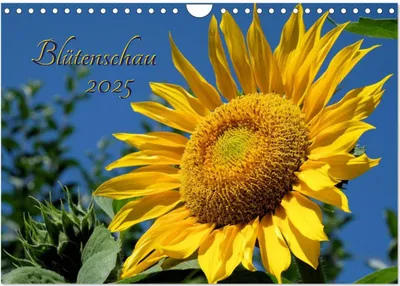Produktbild von Blütenschau 2025 (Wandkalender 2025 DIN A4 quer), CALVENDO Monatskalender