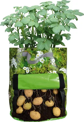 Produktbild von Esschert Design Kartoffelpflanztasche; B1002