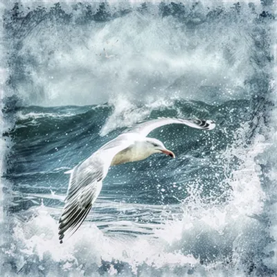 Produktbild von 20 Servietten Seagulls in Stormy Sea - Möwe im Sturm 33x33cm