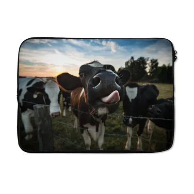 Produktbild von MuchoWow® Laptop Hülle 13 Zoll Kuh - Tiere - Natur - Ausgezeichnete Zunge Laptoptasche - Laptophülle - Sleeve - Rundumschutz