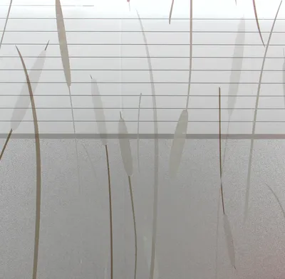 Produktbild von LINEA Fix Dekorfolie - statische Fensterfolie - Schilf Marismas - 150 x 46 cm