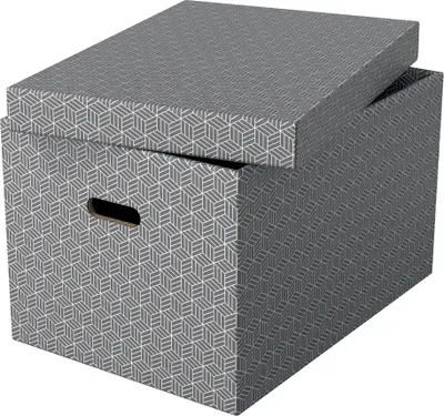 Produktbild von Esselte - Home Aufbewahrungsbox, ft 26,5 x 36,5 x 20,5 cm, grau, Packung mit 3 Stück