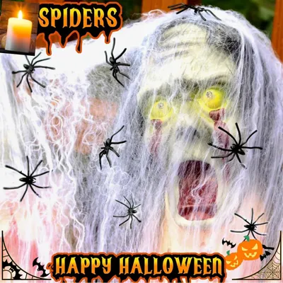 Obrázek produktu pro Dekorační sada pavučin, 200 g, 40 umělých pavouků, ideální na Halloween