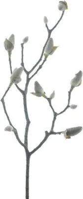 Productafbeelding van Kunstbloem magnolia bud sven black, 59 cm Hortus