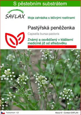 Obrázek produktu pro SAFLAX - pastýřská peněženka - Capsella bursa-pastoris - 1000 Semena - S pěstebním substrátem bez klíčků
