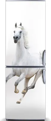 Immagine prodotto di Decorazione per frigorifero Tulup - Tappetino magnetico - 70 cm x 190 cm - Magnete da applicare al frigorifero - Cavallo bianco