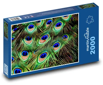 Produktbild von martinpuzzle - Puzzle 2000 Teile - Pfau - Regenbogenpfauenfedern