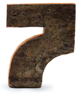 Image de Numéro de l'écorce rustique : "7" (12) - Petit, 7 cm