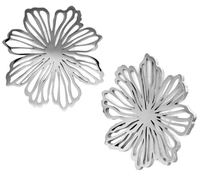 Produktbild von Wildcat Ohrstecker - Fine Flower Earstuds Pair - Silber - Chirurgenstahl 316L - wasserfest, langlebig, hautverträglich, Silber