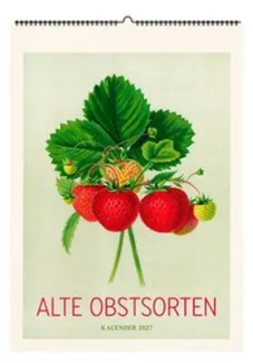 Obrázok produktu pre Alte Obstsorten. Wandkalender 2027