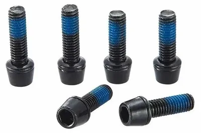 Obrázok produktu pre Ritchey Comp 4axis, strieborné skrutky, strieborná farba, univerzálna veľkosť