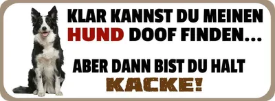 Produktbild von vianmo Holzschild 10x27 cm Meinen Hund doof du kacke Dekoration