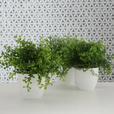 Image de Plantes artificielles en pot de fleurs, 1