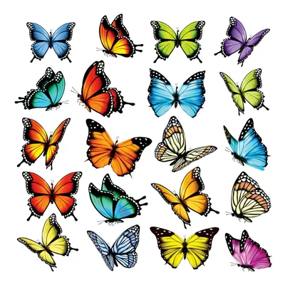 Image de Sanders & Sanders sticker mural papillons multicolore 30 x 30 cm