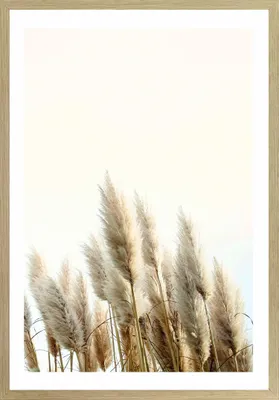 Produktbild von Wandbild - Beige - Weiß - 50 x 70 cm - MDF - Pampasgras-Motiv