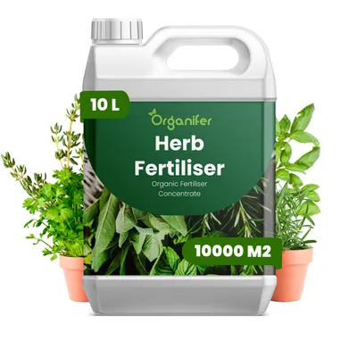 Obrázek produktu pro Bylinky Tekuté Hnojivo 10 L – 3-4-3 NPK – Pro Bylinky v Kvetináčoch, Záhonoch & Skleníku – Podporuje Bujný Růst & Vitalitu – Organifer