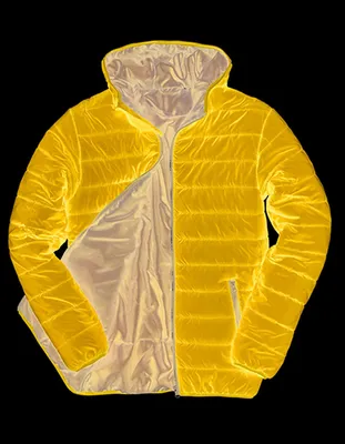 Produktbild von Result Core R233M | Herren Padded Jacket / Wasserabweisend und winddicht - Farbe: Royal/Navy - Größe: XL
